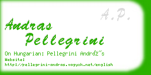 andras pellegrini business card